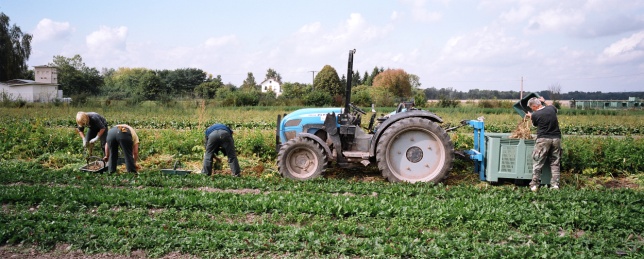 Pour des Tiers lieux alimentaires à dimension sociale