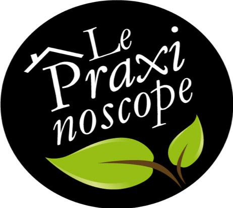 Le Praxinoscope